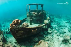 Dolphin-Snorkeling-Catamaran-Tour